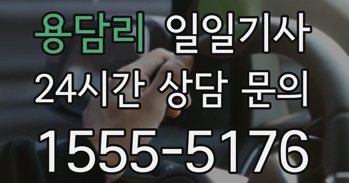 일일대리기사