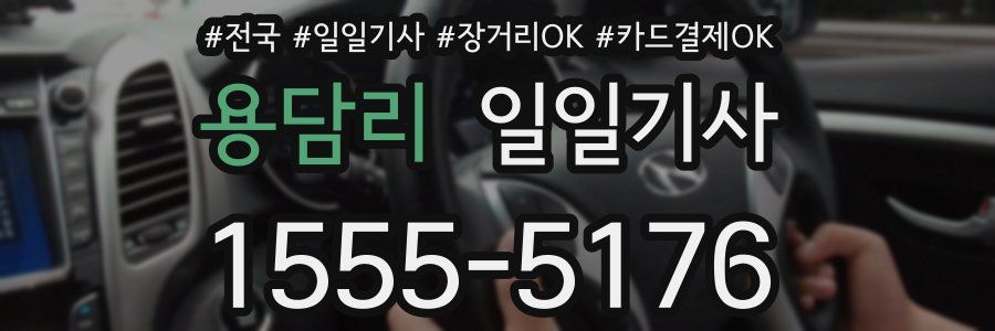 용담리 일일기사