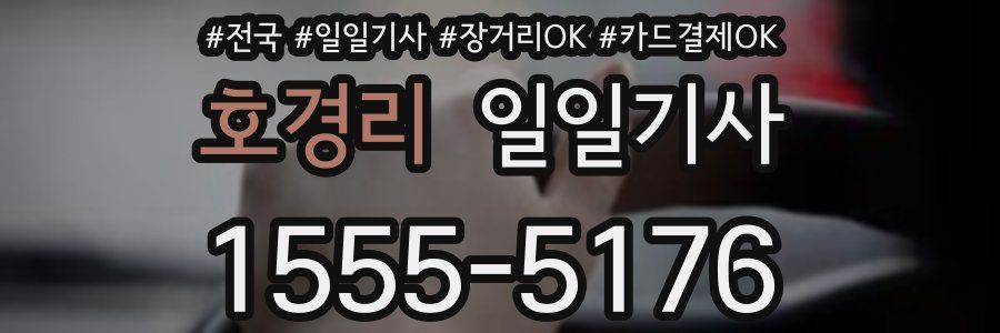 호경리 일일기사