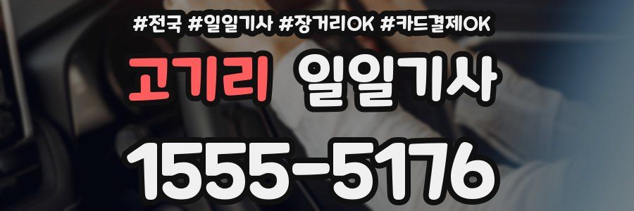 고기리 일일기사