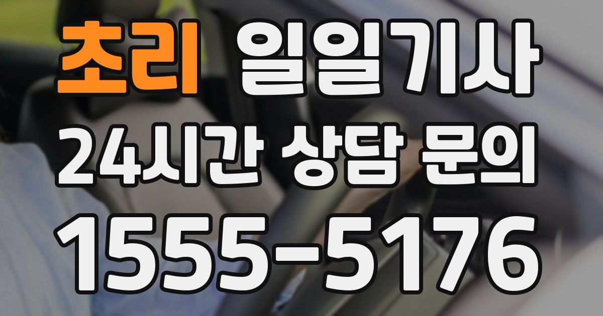 일일대리기사