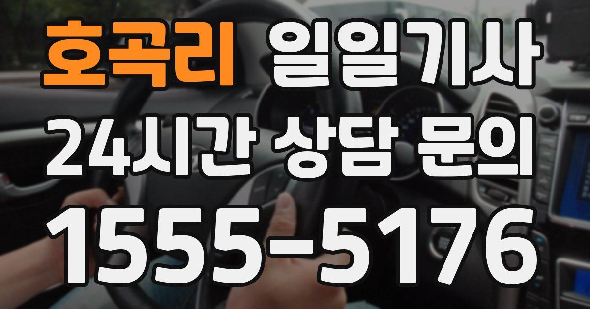 일일대리기사
