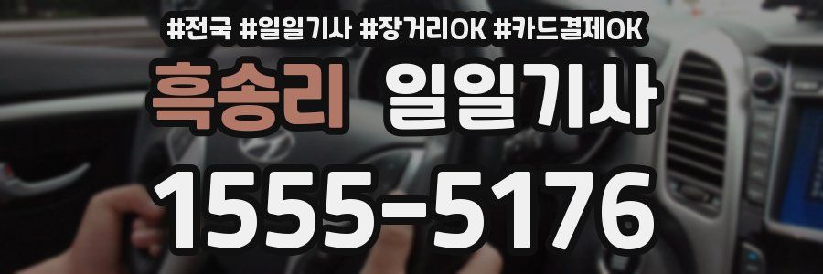 흑송리 일일기사