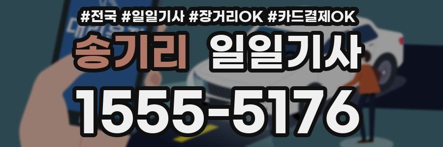 송기리 일일기사