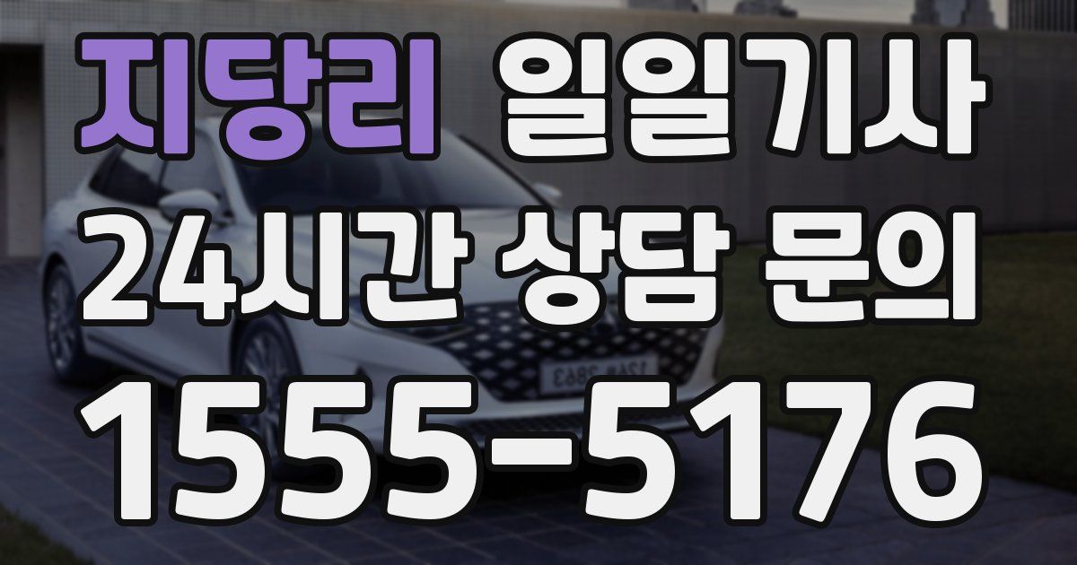 일일대리기사