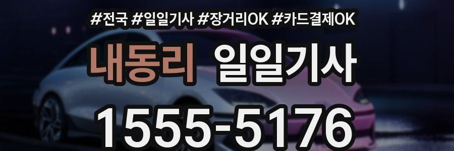 내동리 일일기사