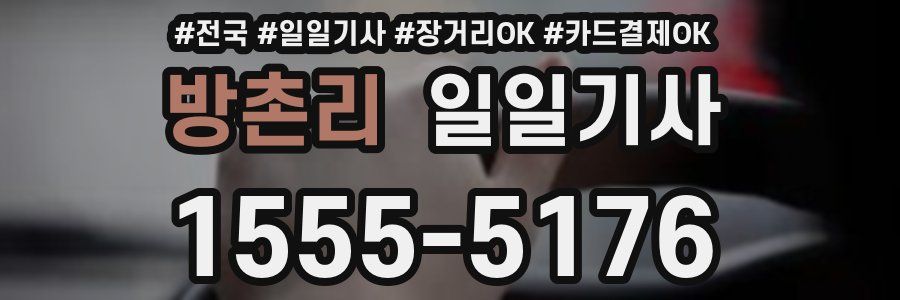 방촌리 일일기사