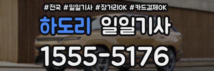 하도리 일일기사