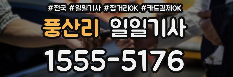 풍산리 일일기사