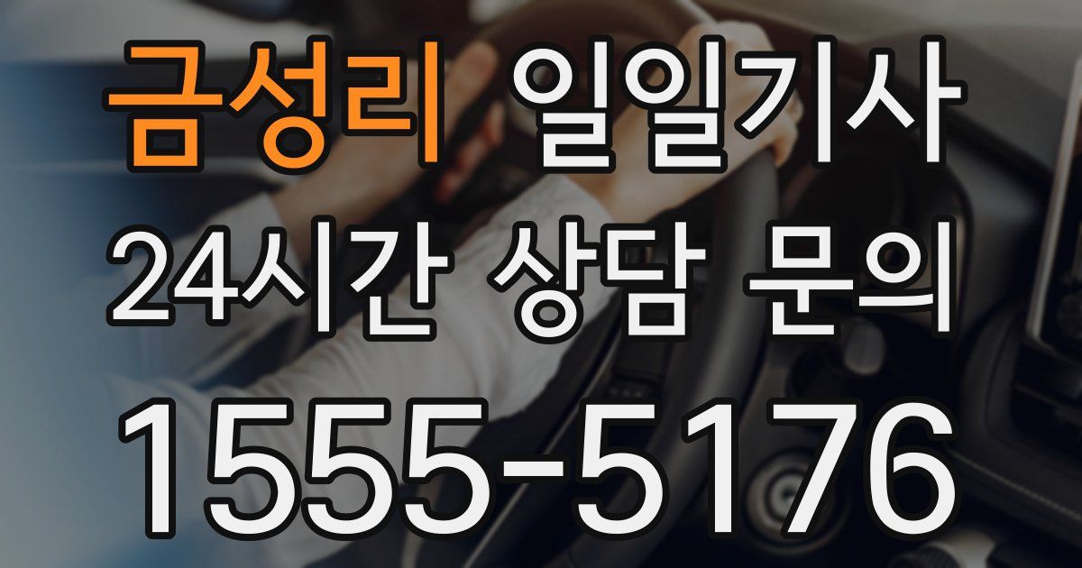 일일대리기사
