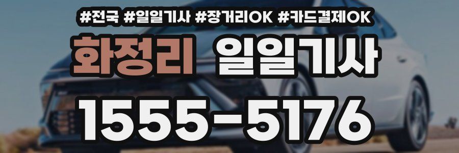 화정리 일일기사