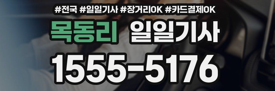 목동리 일일기사