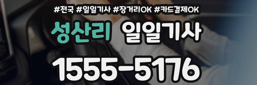 성산리 일일기사