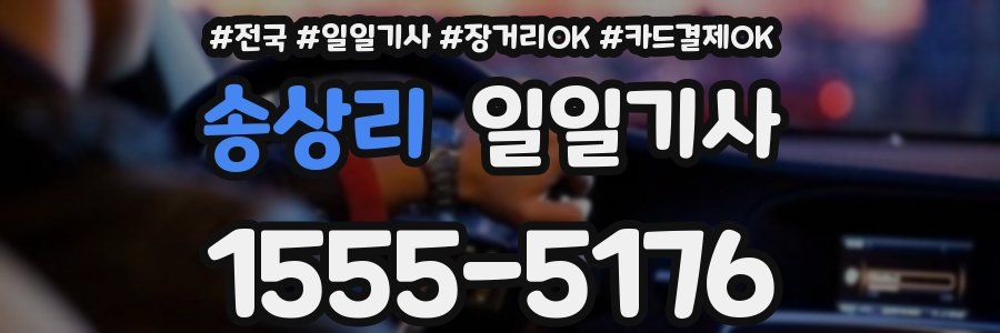 송상리 일일기사