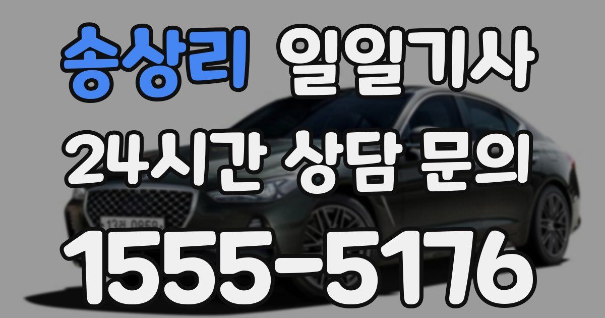 일일대리기사