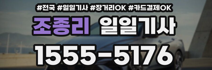 조종리 일일기사