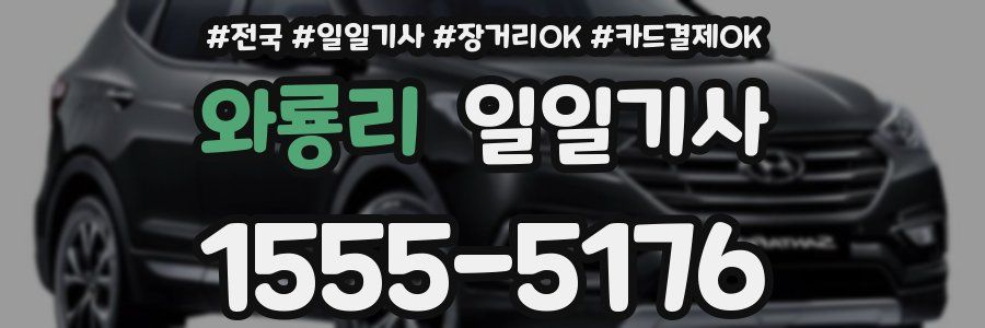와룡리 일일기사