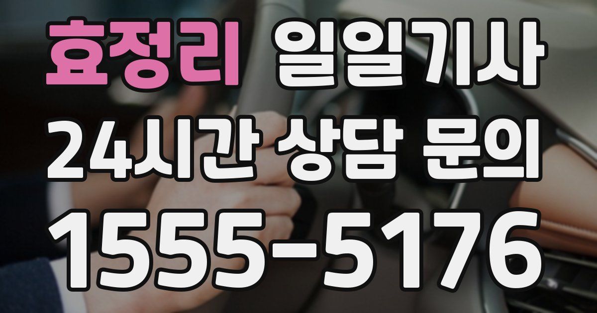 일일대리기사