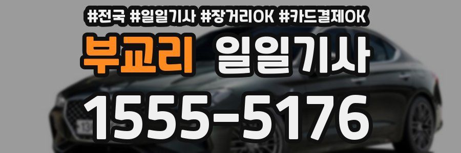 부교리 일일기사