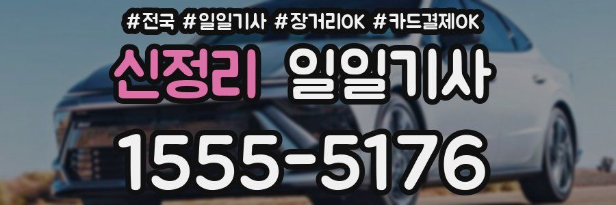 신정리 일일기사