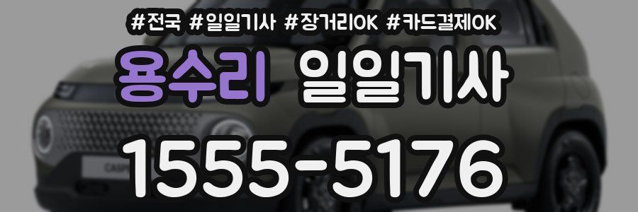 용수리 일일기사