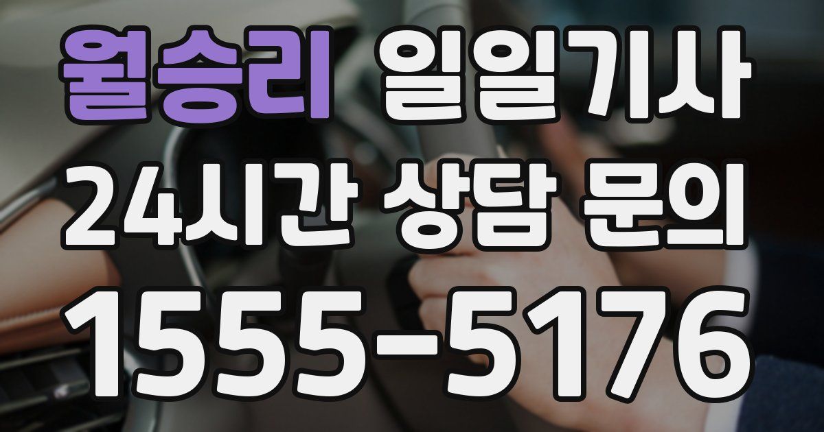 일일대리기사