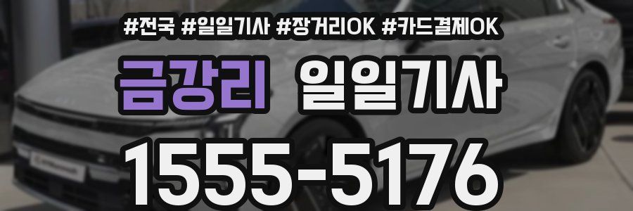 금강리 일일기사