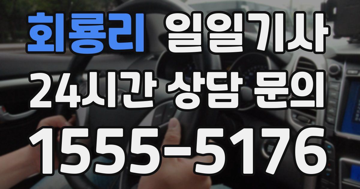 일일대리기사