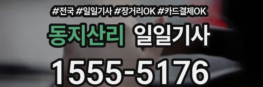 동지산리 일일기사