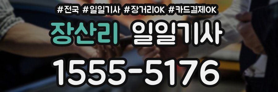 장산리 일일기사