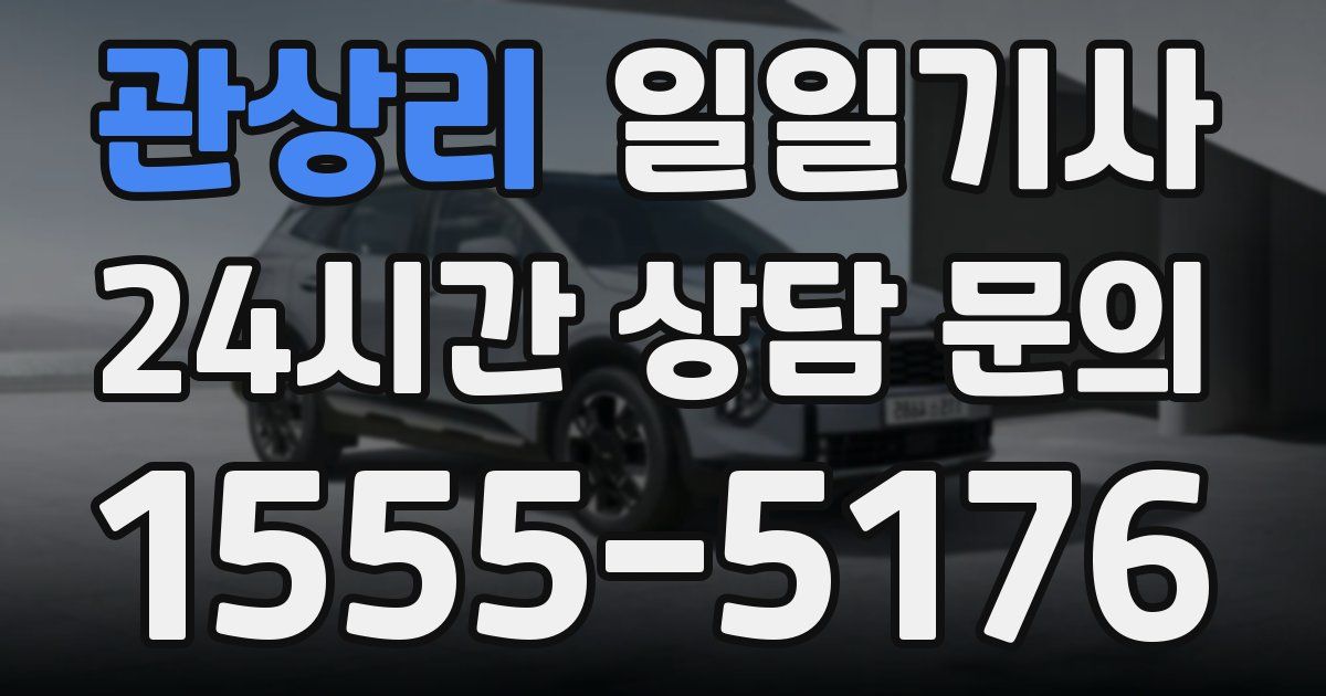 일일대리기사