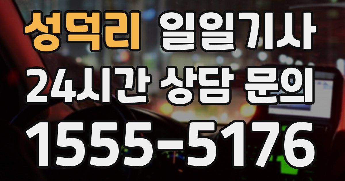 일일대리기사