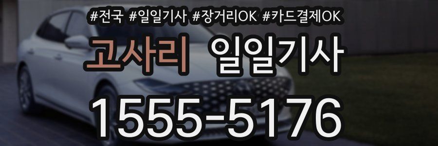 고사리 일일기사