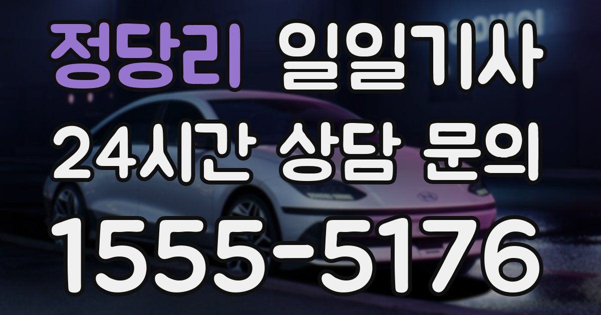 일일대리기사