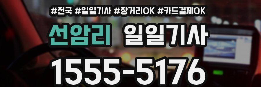 선암리 일일기사