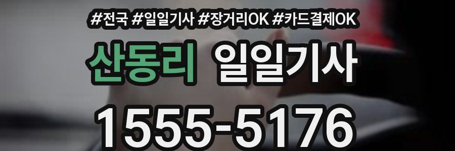 산동리 일일기사