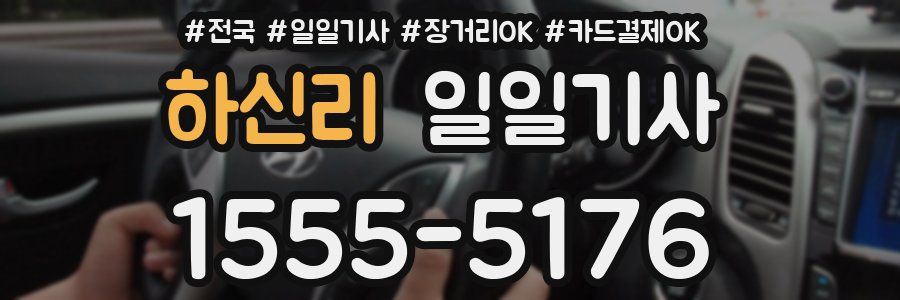 하신리 일일기사