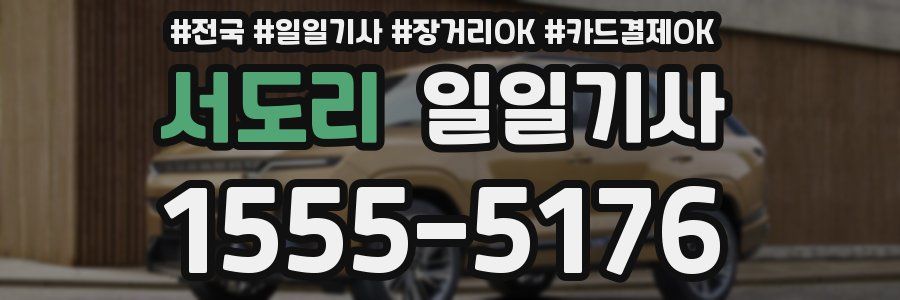 서도리 일일기사