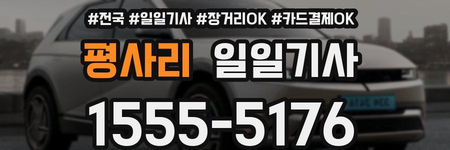 평사리 일일기사