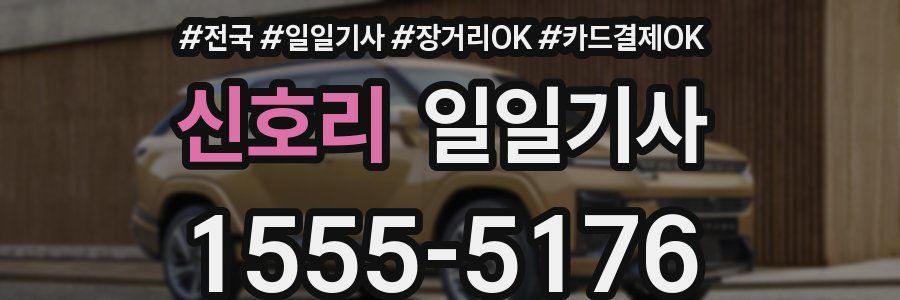 신호리 일일기사