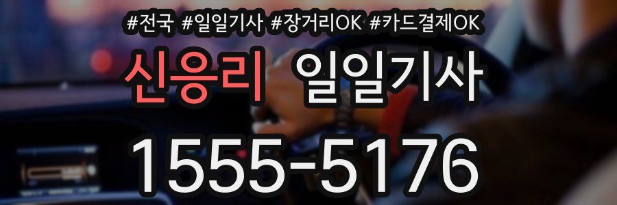 신응리 일일기사