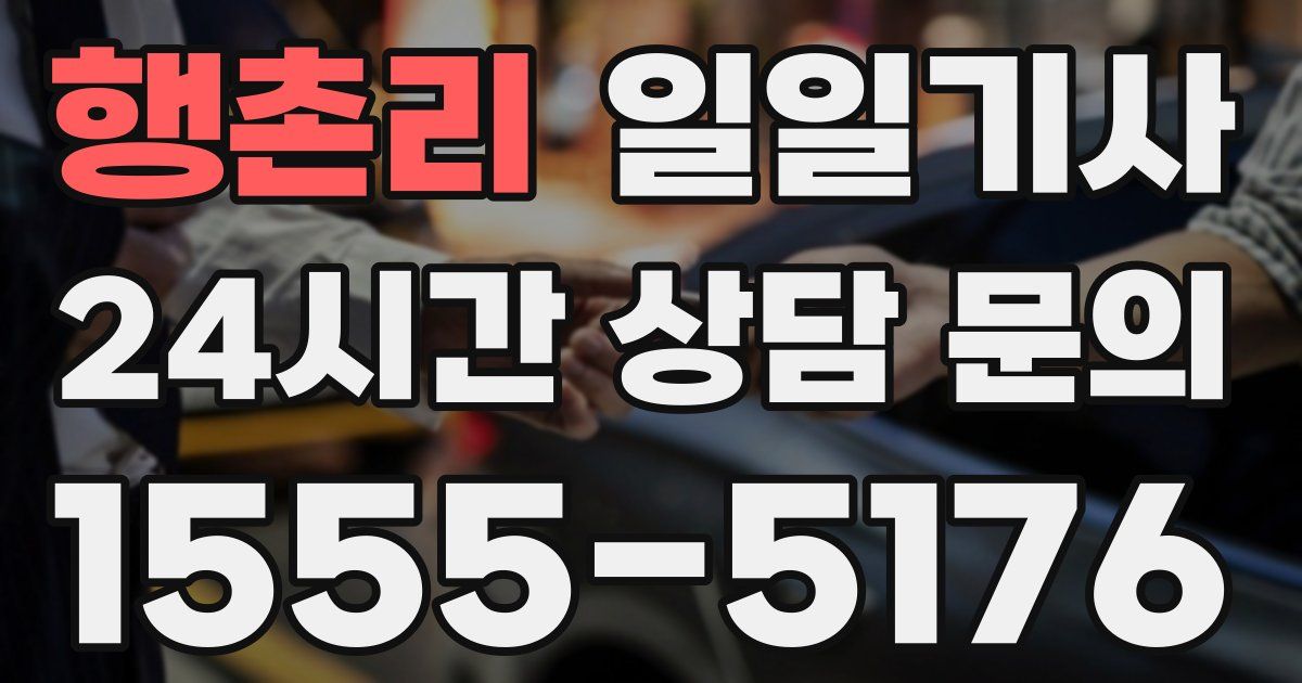 일일대리기사
