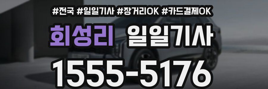 회성리 일일기사