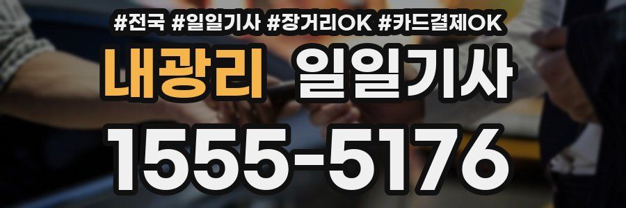 내광리 일일기사