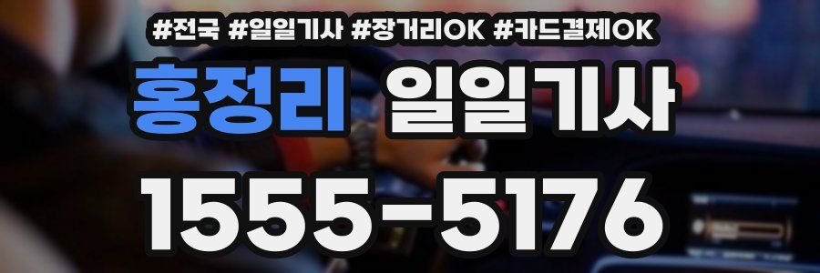 홍정리 일일기사