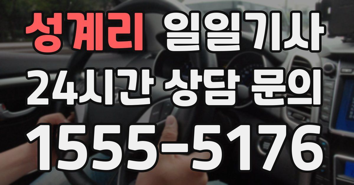 일일대리기사