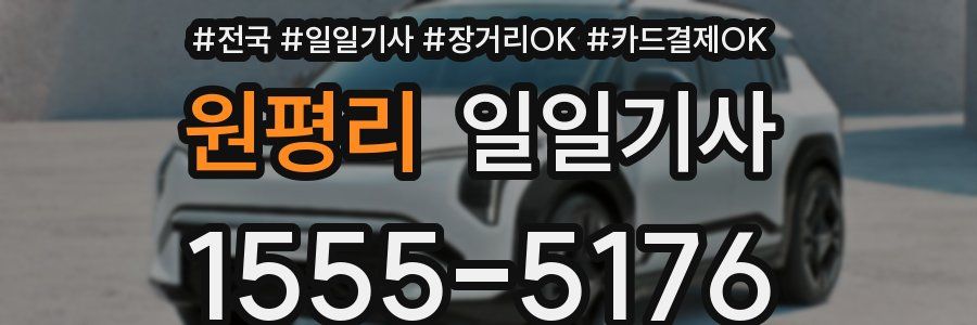 원평리 일일기사