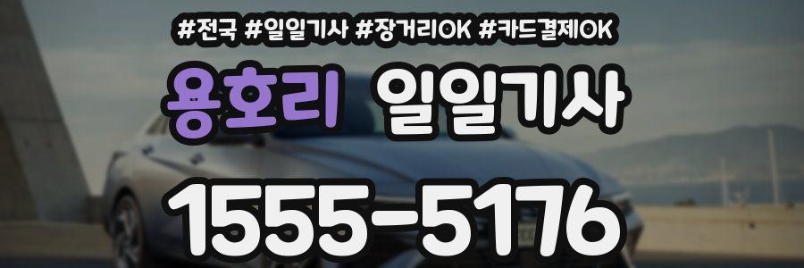 용호리 일일기사