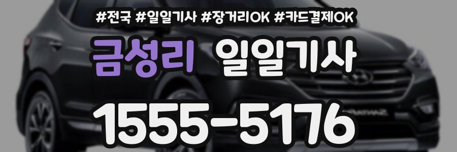 금성리 일일기사