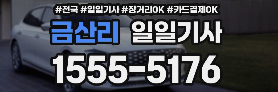 금산리 일일기사